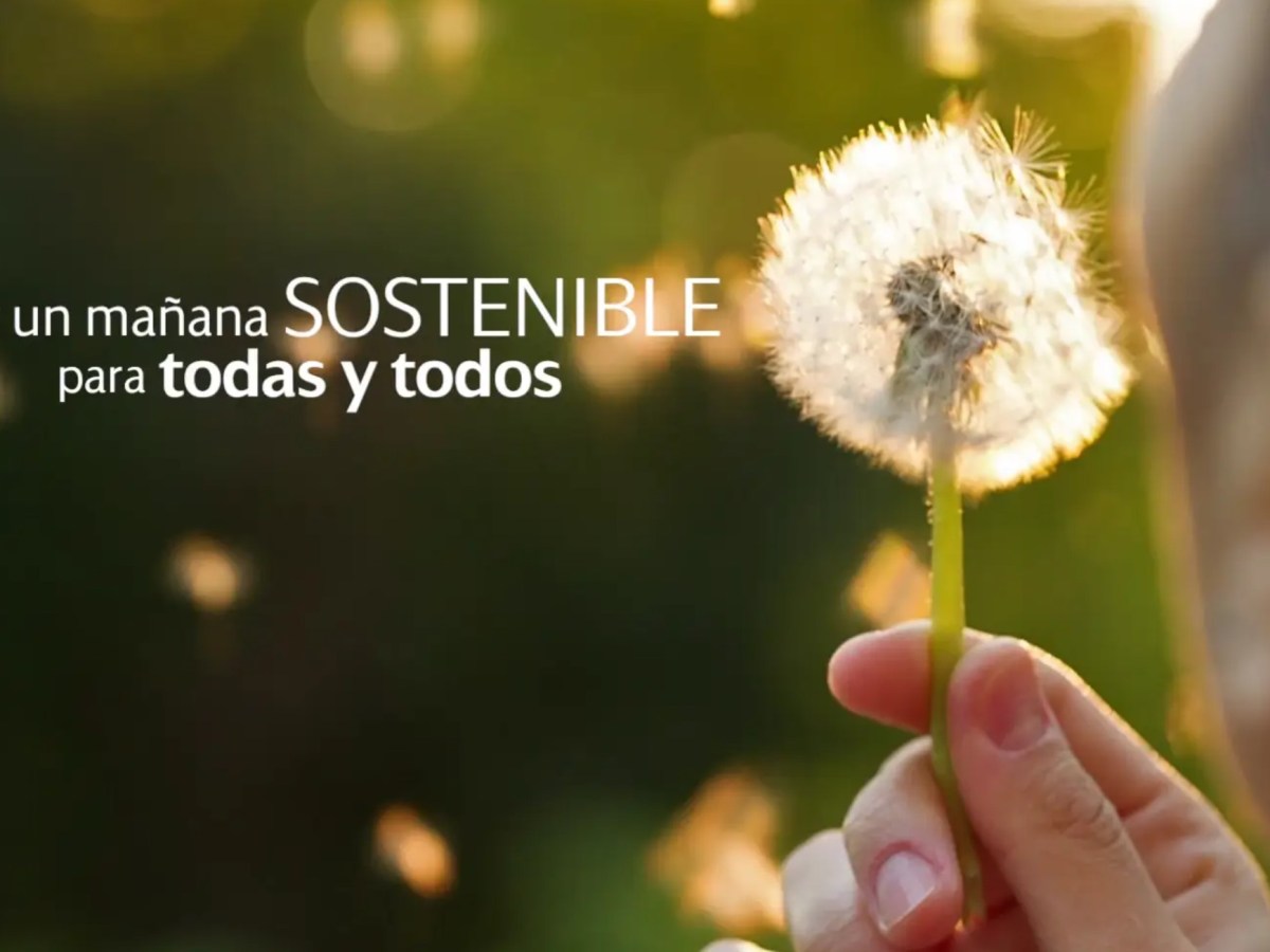 Iberdrola – Parque&nbsp;eólico