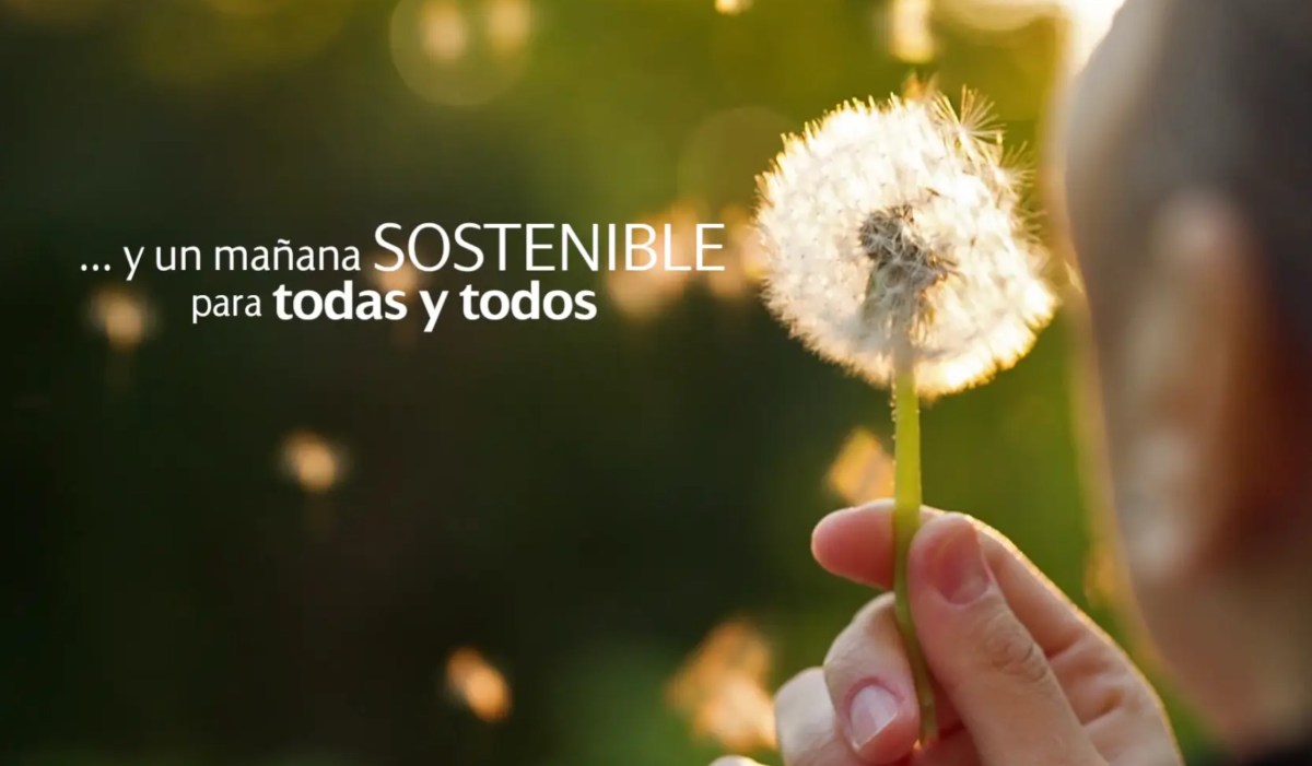 Iberdrola – Parque&nbsp;eólico