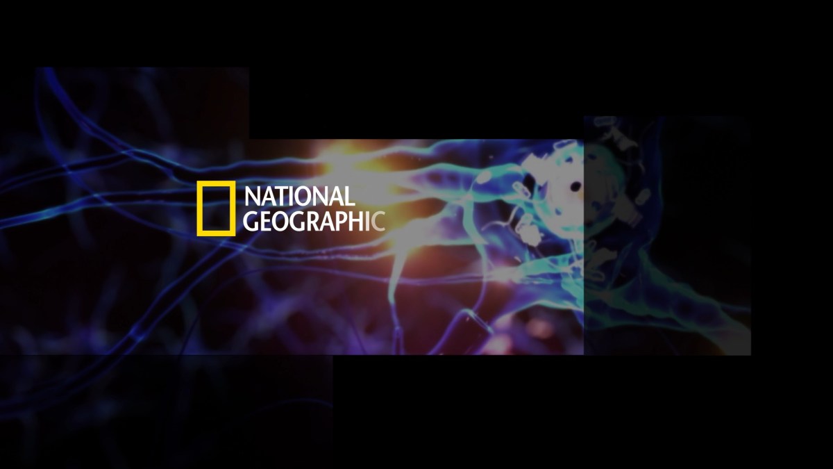 Reel National Geographic&nbsp;2026